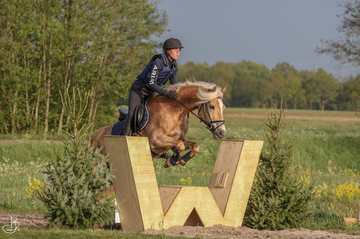 2019 Oefencross Hippisch Hooghalen