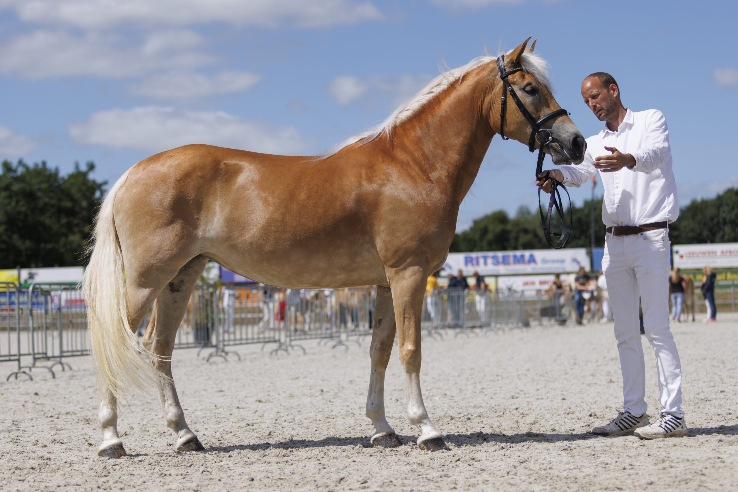 KVTH CK Noord 2022