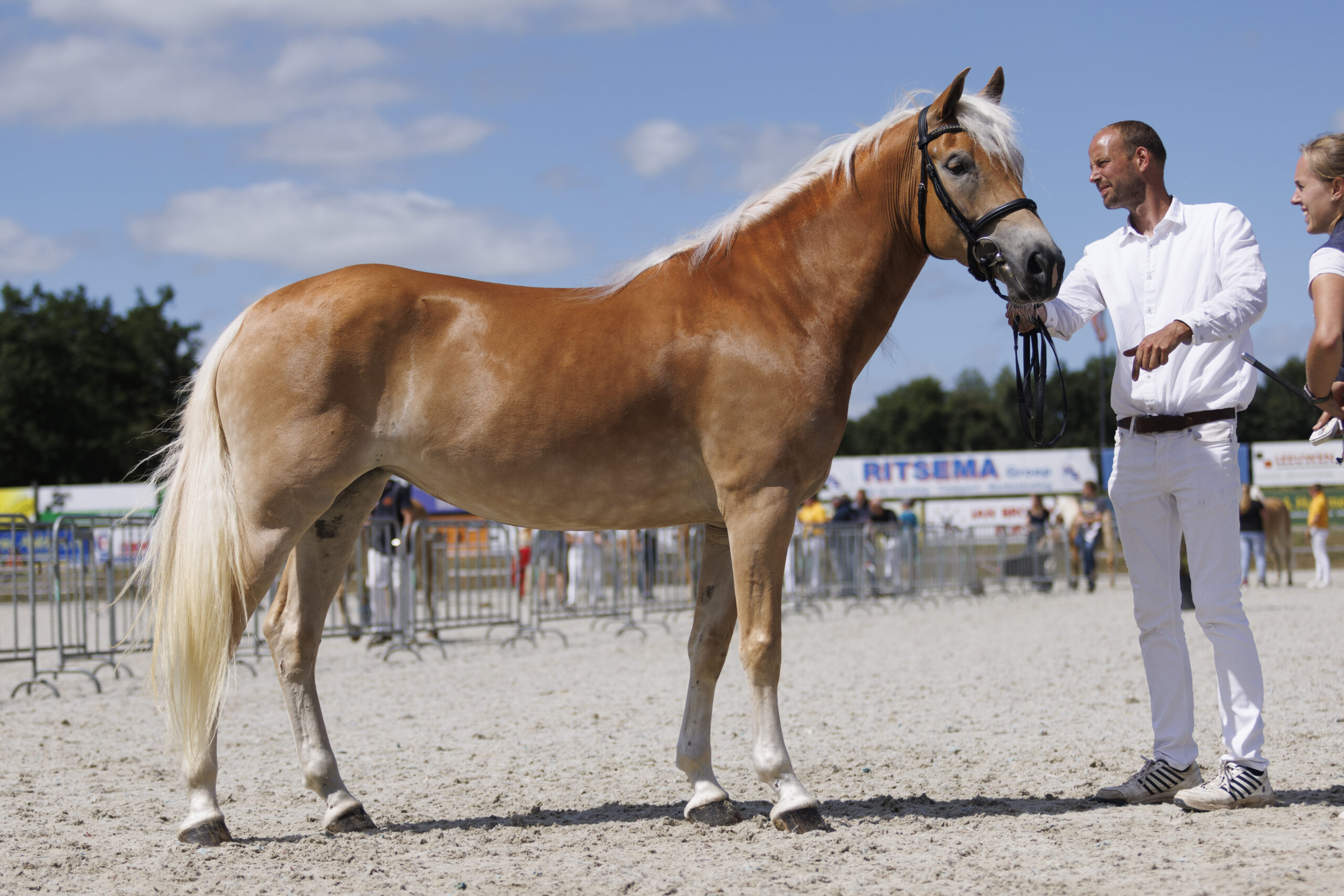 KVTH CK Noord 2022